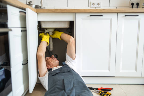 Best Plumbing Services Near Me  in Maplewood, MN