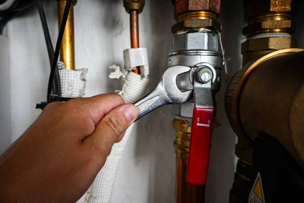 Best Affordable Plumbing Services  in Maplewood, MN